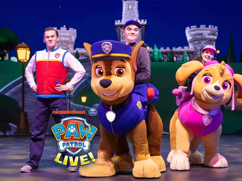 Paw Patrol Live